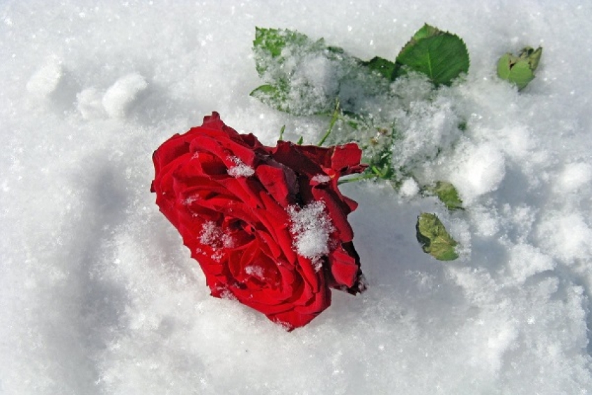 Глыба снега убила молодую жительницу Архангельской области